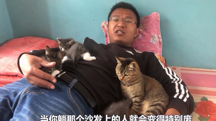 [Tabby Cat] The young man spent hours petting so many cats that, in a blissful moment, he ended up c