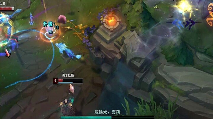 Hướng dẫn chơi rừng Bin'er