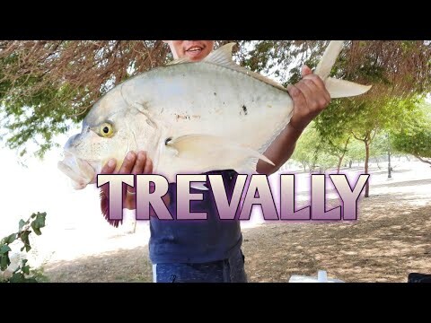 golden trevally/ vlog 19