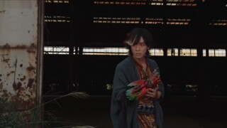 【特效字幕】欧兹永恒鸟