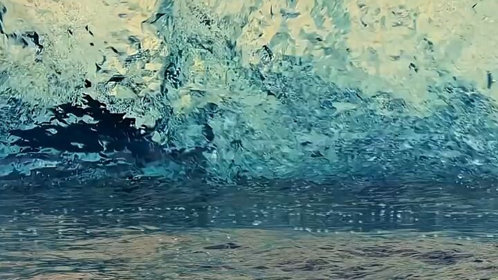 Endangered Animals Sing Their Last WishDream