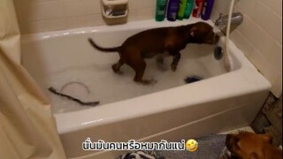 ทำซะเหมือนคนเลยอ่าาา