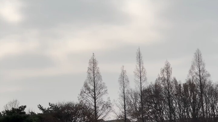 RAVN 가끔 자주 (Sun Goes Down)