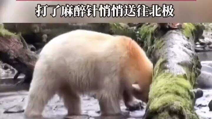 ฉันคือใคร ฉันอยู่ที่ไหน?