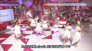 Sayonara, Alice by Flower — Live Performance on Sukkiri!! [23rd February 2015]