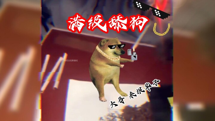 สุนัขเลียสุดแรง