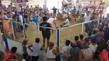 Second fight namin sa quidolog cockpit prieto diaz sorsogon sa meron ulit manok namin