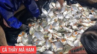 Dẫn Khương Dừa đến khu vực làng bè cửa khẩu quốc tế Long Bình xem bà con thu hoạch cá trên bè