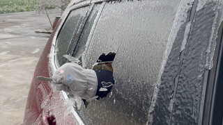 Cantonese people experience happiness in Hunan for the first time