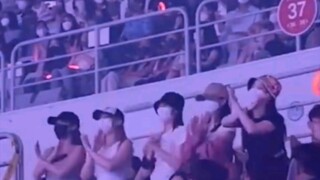 击兔同笼 twice参加itzy 演唱会唱 Dalla