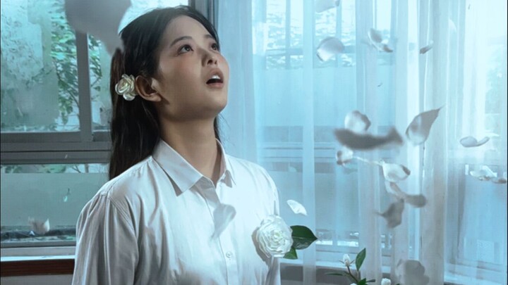 “Bunga camellia bermekaran di dadaku”