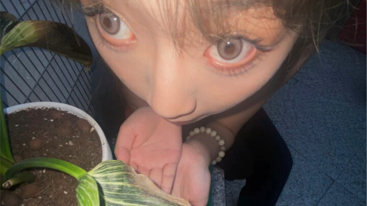 Chào bạn, mình là nhiếp ảnh gia, mình có thể chụp ảnh cho bạn được không?