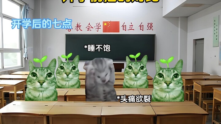 Before and After School Starts: The Big Contrast