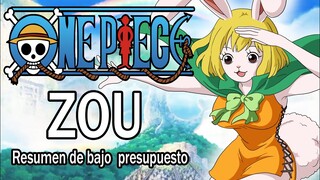 Resumiendo ONE PIECE (ZOU) en 1 video