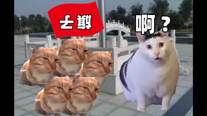 【猫meme】关于我在全校面前把国旗倒着升上去这件事