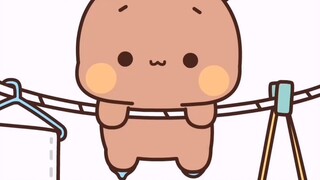 What is the difference between a girl's 12 and a woman's 12? ?