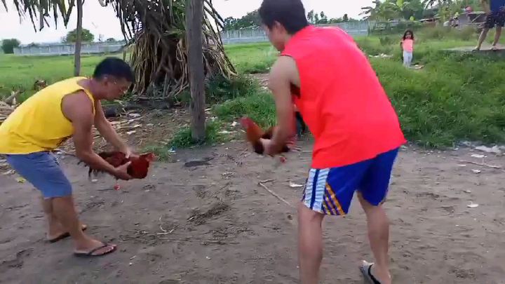 7months stags! pwede na ba isabak mga boss?!