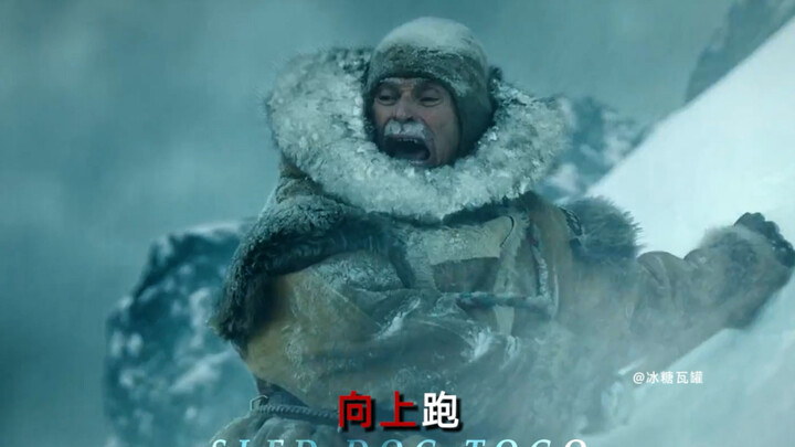 有的狗，生来就是领头犬！