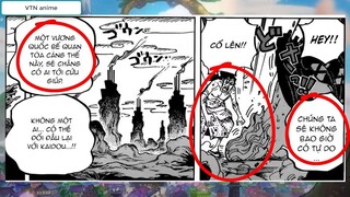LUFFY & ZORO Được Tăng Sức Mạnh! Kết Thúc HỒI II Arc Wano Quốc [One Piece Phân tích Chapter 955] p15