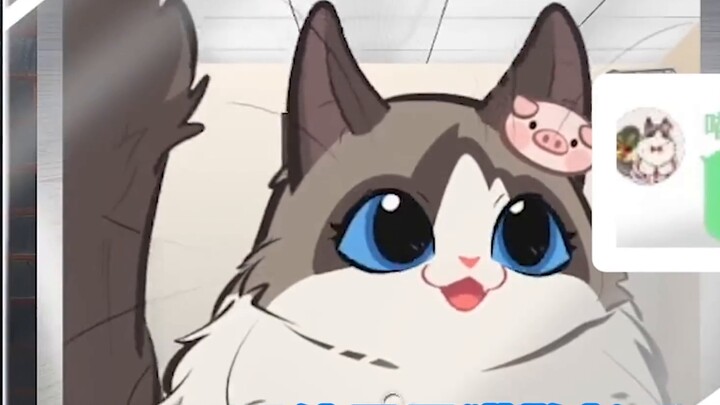 The main package is not off the network, the main package is caught