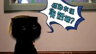 猫咪的诚实问答！