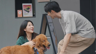 这狗是来报恩的吧？