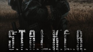 S.T.A.L.K.E.R._ Shadow of the Zone - 2024 - sub indo