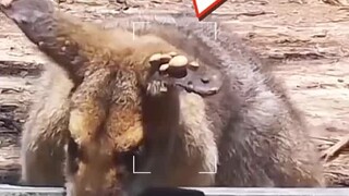 【A Tĩnh thích khám phá】Tác phẩm mới nhất của tôi, mau đến xem ngay nào!