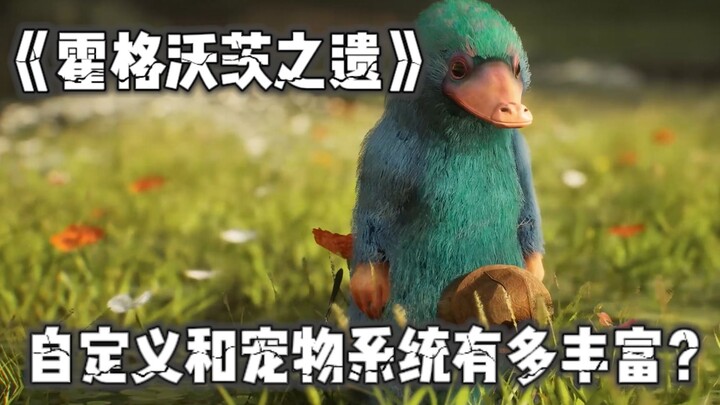 Sistem dekorasi dan hewan peliharaan khusus di Hogwarts Legacy ternyata begitu detail! Benar-benar m