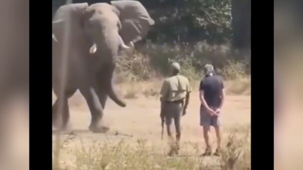 I saw the Materialism Holy Sword in his hand!