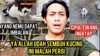 Woro-Woro Yang Nemu Kucing Ini Hubungi Cats Lovers Tv Kabur Dari Basecamp..!