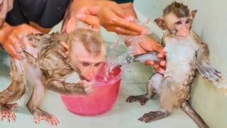 Routine Bathing!! Wow so lovely when Mom takes a bath for tiny adorable Toto & Yaya