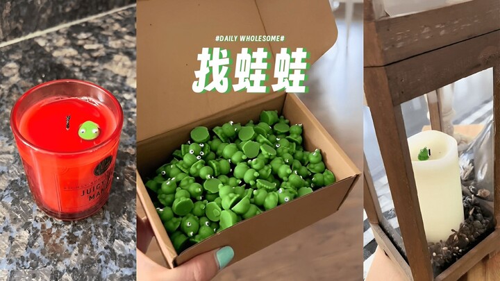 Hide 200 little frogs in your parents' house while they're away on vacation🐸