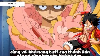 Top 8 Người Vô Tình _Ăn_ Trái Ác Quỷ trong One Piece #18- 9