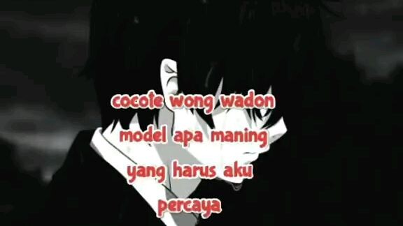 cocote wong wadon 😂