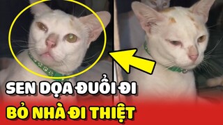 Cô gái PHÁT KHÓC vì lỡ đuổi Hoàng Thượng đi, ai dè nó đi thiệt 😂 | Yêu Lu