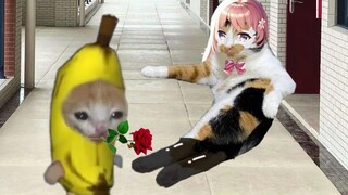 Kucing Pisang Mengungkapkan Perasaannya kepada Dewi
