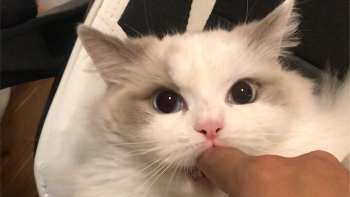 Giọng nói không khớp với hành vi