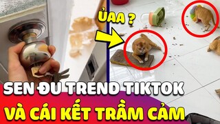 Thanh niên đu Trend Tiktok 'ĐI ĐỂ TRỞ VỀ' nhưng vừa về lại 'MUỐN ĐI LUÔN' vì quá trầm cảm 🤣 Gâu Đần