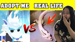 ADOPT ME VS REAL LIFE (NAKAKAGULAT) + MAY GOOGLE ADSENSE NA KAMI !!