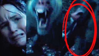 The Hunger Games 2 - Brutal baboon attack | Woman kicking baboon | Man vs baboon fight attacks