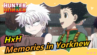 HUNTER×HUNTER|Memories in Yorknew