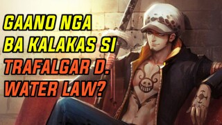 ANO NGA BA ANG KAKAYAHAN NI TRAFALGAR D. WATER LAW | ONE PIECE EXPLAIN