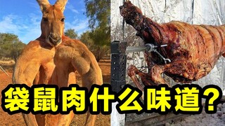 I made a bowl of clay pot rice with a 200-pound Australian kangaroo. It was so delicious.