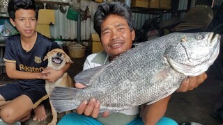 Cá rô biển khổng lồ ''chiên giòn'' cuốn bánh tráng | Ngư Dân Miền Tây