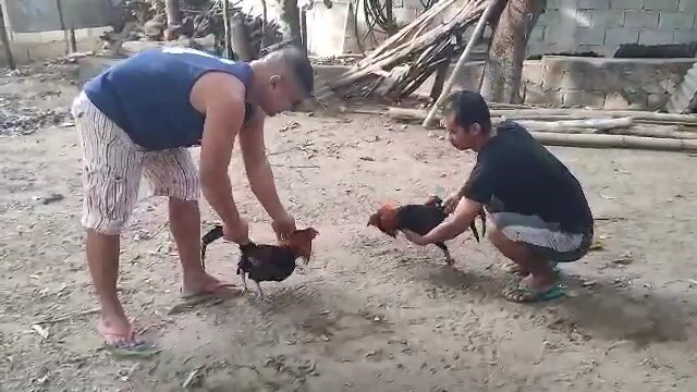 February 4 🫶 Tatak Salcedo!