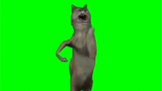 Dancing Wolf GB Green Screen Material