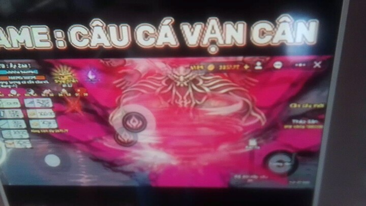 câu cá vạ cân