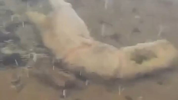 Ini apa sih? Tipe pangeran laut ya? Ganteng banget!