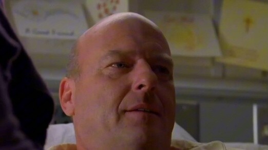 Shocking! Breaking Bad's Hank and his wife actually did this in broad daylight!